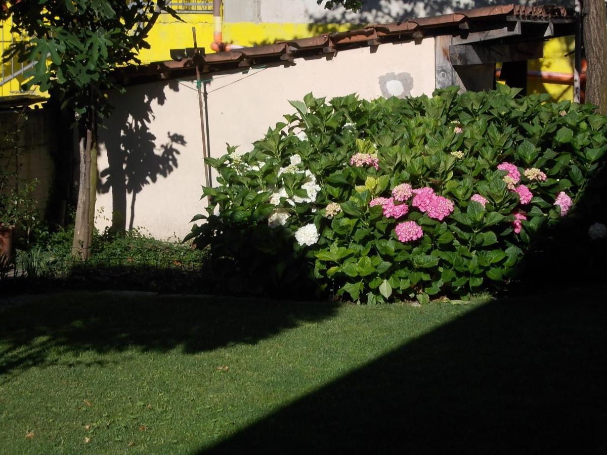 Les Hirondelles Bed & Breakfast เฟนิส ภายนอก รูปภาพ