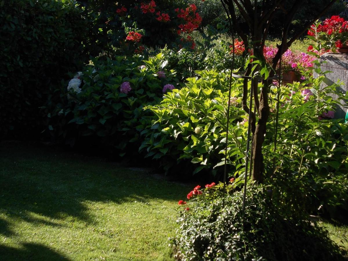 Les Hirondelles Bed & Breakfast เฟนิส ภายนอก รูปภาพ